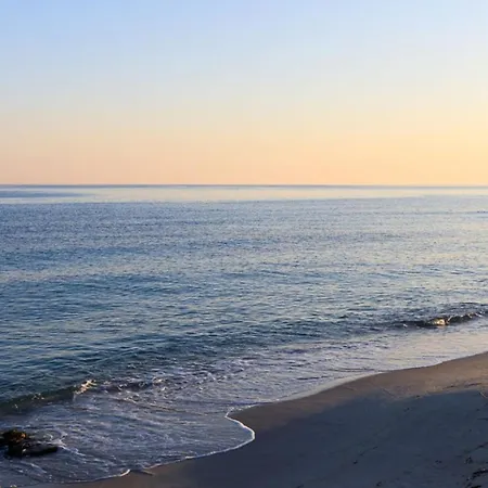 Mare